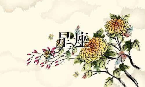 哪个星座是学痞？双子座几岁变成学霸？