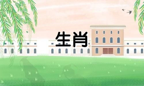 99年属兔女性的最佳配偶生肖 图片展示