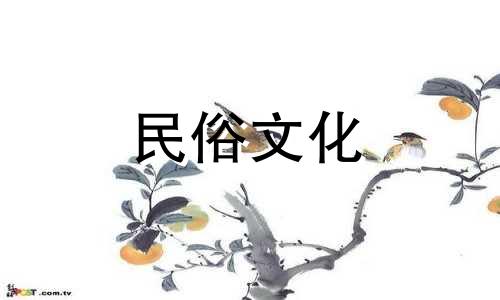 丁香八字算命准不准呀视频 八字算命准吗