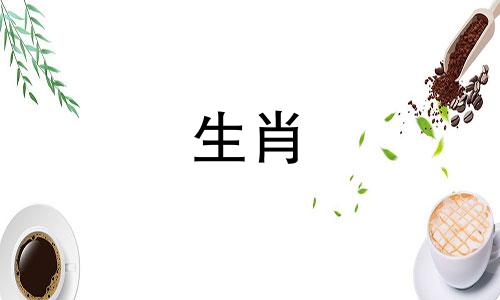 在十二生肖中，打春属狗的人应该避免与哪些属相接触？