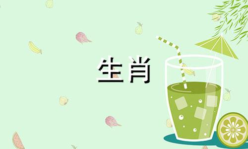 与生肖狗相配的属相是什么？