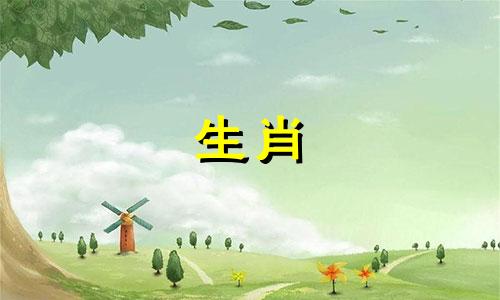 与生肖马六合的属相是什么？