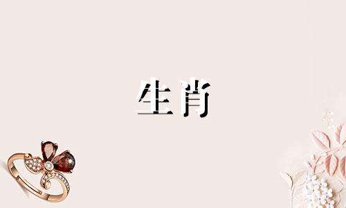 奇宝风云代表的生肖是什么？ 风云变幻的意思是指哪个生肖