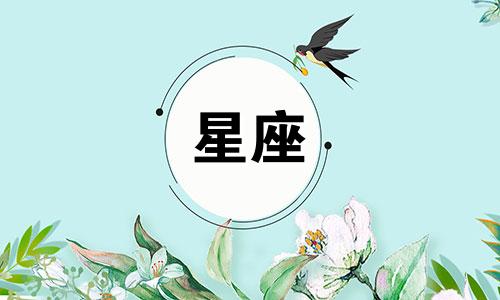 你知道哪些星座在打破爱情寒冬时有妙计来哄恋人吗？