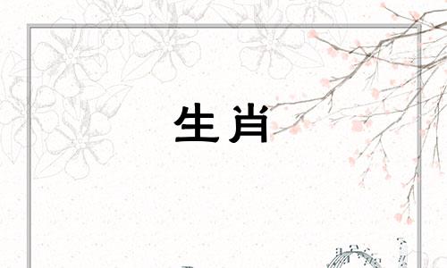 生肖兔和哪个属相最配 属兔人最适合与哪个属相结合