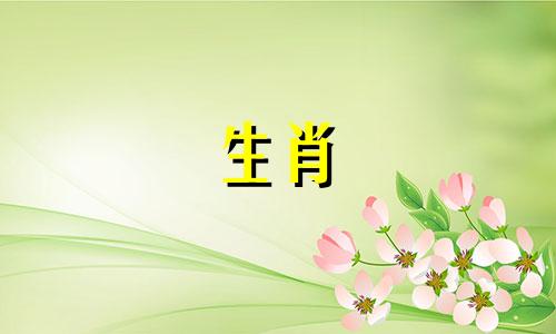 巳代表的生肖是什么？