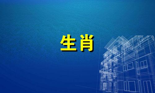 红尘中最好的生肖女性 哪些生肖是女性