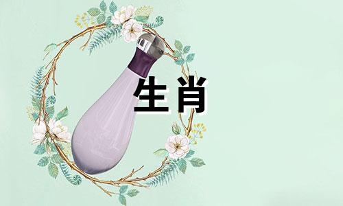 最适合属兔女的生肖是什么 兔女应该找什么属相的对象，属兔的女性和哪个属相最匹配