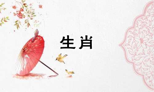 哪些生肖与属牛和属鼠的人相配 属牛的和什么属相最合适