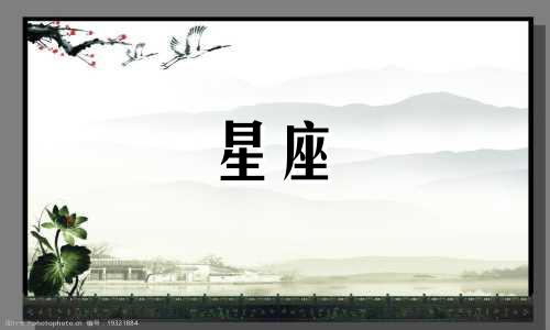 属蛇的人属于哪个星座最好 十二星座中最适合属蛇人的星座