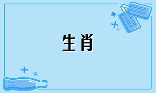 同属相相刑生肖是什么意思？如何计算和理解这个概念？