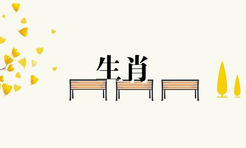 哪些生肖属于天生木头人,不懂浪漫呢?