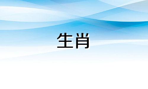 明年是兔年，如果一个人属龙，那么他应该选择哪个生肖的转运珠呢？