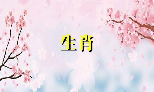 请问王天阳的生肖属相是什么？同时，能否帮忙取一个名字？