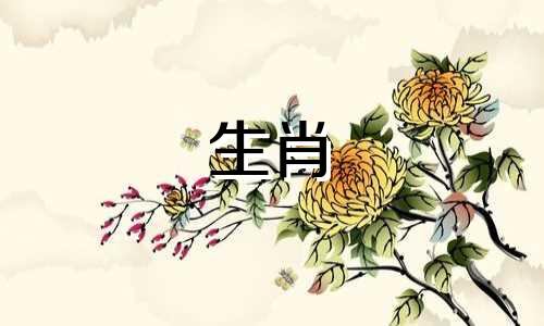 属兔的人的命运是什么？此地无银三百两是哪个生肖？