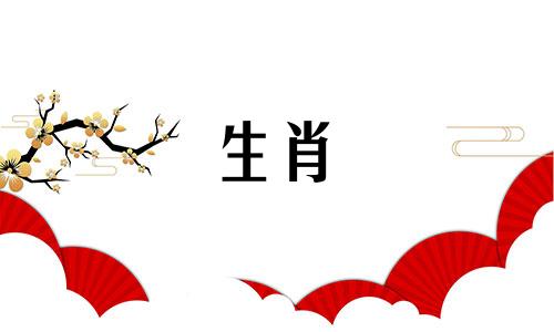 十二生肖最匹配的配偶属相指南 最适合结婚的十二生肖配对表