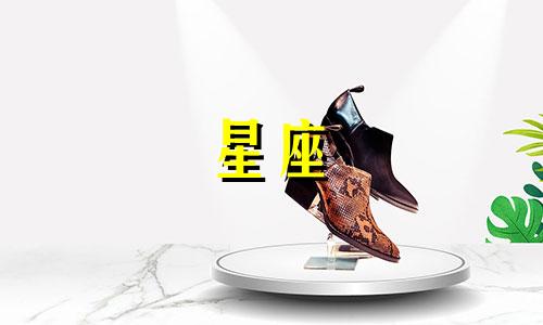 "天蝎座对应的生肖是什么,以及与天蝎座相关的恐怖歌曲是哪些?"