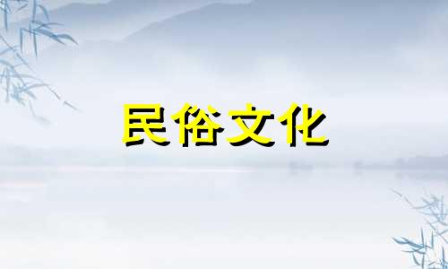 欣赏兰花图片并了解其风水影响：探究在家中养护兰花的风水益处