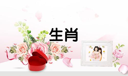 在十二生肖属相的序列中，紧随龙之后的是哪个生肖？