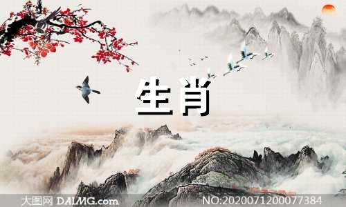 与马生肖最为匹配的伴侣属相