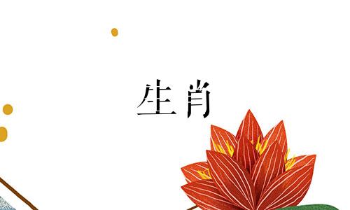 与生肖虎女性最为匹配的属相是何者 探究属虎女性的最合适属相搭配