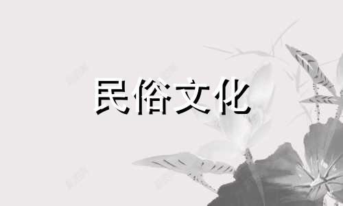 视频与图片指南：香港厕所的风水布局忌讳 包括厕所位置和常见风水避忌