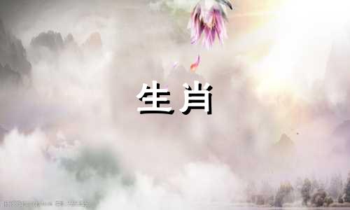 对于生肖狗的人而言，其真正的灵魂伴侣可能属于哪个生肖？以1994年出生的属狗人为例，他们的天乙