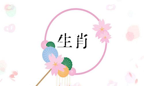 属鼠的人旺财气网名选择 什么网名对生肖鼠最吉利