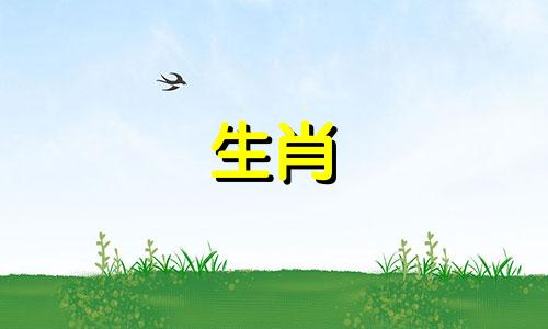 哪个生肖与属牛的人最匹配 最适合作为属牛者的伴侣？