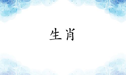 执字对应的生肖属相是什么？