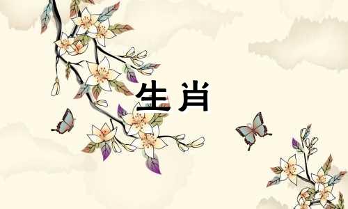 最匹配的属相配对对于属牛的人来说