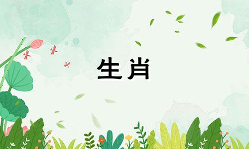 属猪的人应避免与哪个生肖建立友谊 不宜与何种属相的人结交，以及在与人交往时，属猪者最应