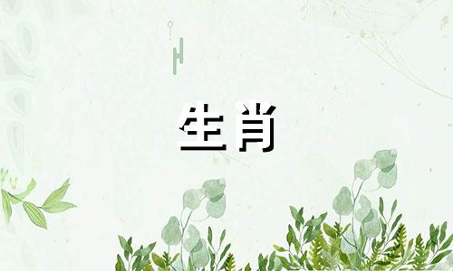 十二生肖的命定贵人是哪些