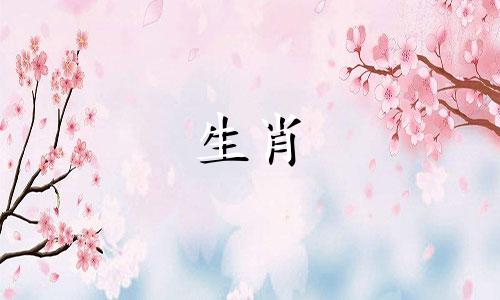 生肖属相与出生时间重量对照表 24小时生肖对应表