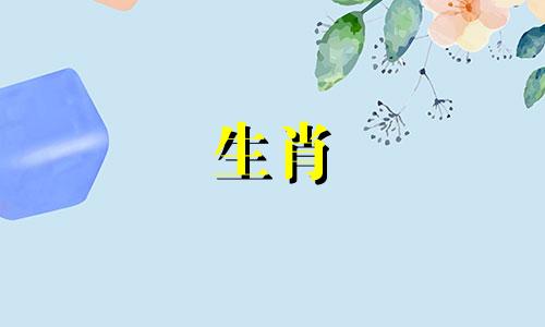 对于属龙的女性来说，最匹配的生肖是哪些？