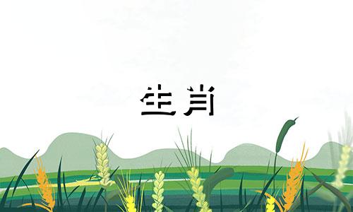 最理想的配偶属相对于属羊的人来说，是那些与生肖羊相合的星座。在十二生肖中，属羊者与特定