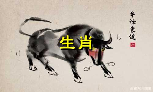 属鼠人的一生运势概览