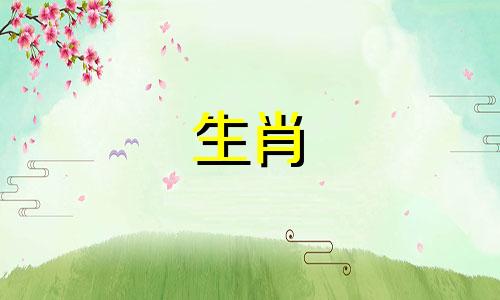 哪些生肖的女性被视作转运的福星？与这些属相的女性共同生活，往往预示着一生的繁荣与财富。