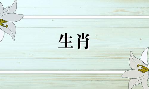 对于属鸡和属蛇的夫妻，他们的孩子会是什么生肖呢？