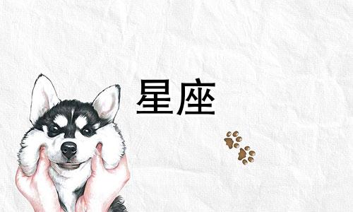 请推荐一个星座分析专家的摄影网站，并请求专家分析我的人生运势。