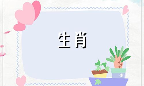 对于在爱情中经历复杂情感波折的生肖个体，以及那些属虎的人，如何提升自己的财富运势呢？