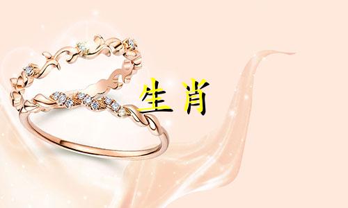 生肖中那些不竞争而满足于平凡的与属虎女性的性格特征