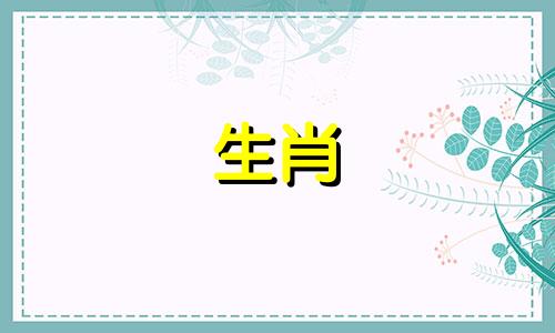 在动画片《十二生肖快乐街》中，以十二生肖为角色原型的动画系列，其中属兔的角色名称。