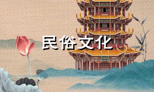 下载酉时出生的八字命理分析视频 详细解读生辰八字，深入解析生辰八字