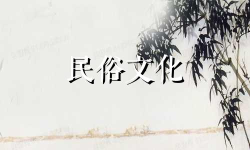 关于养龙猫的风水禁忌，具体包括以下几点：1. 放置位置：龙猫笼子不宜放置在卧室内，因为卧室