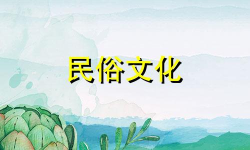 室内养花风水禁忌详解:新手必读的完整指南