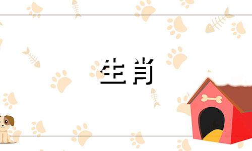 哪个属相与生肖鼠在婚姻中不太匹配 鼠相与哪些属相不和