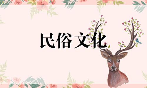 全集视频：盲人八字算命讲解 一整套盲人算命技巧