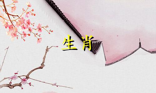 小贝和小雪的生肖是什么? 在小雪、小贝和蘑菇头中,谁是卧底?