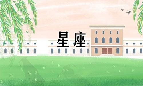 各个星座的标志性星形是什么？
